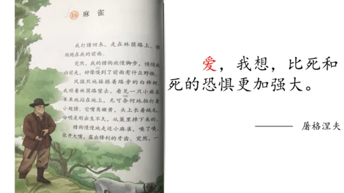 第16课《麻雀》课件