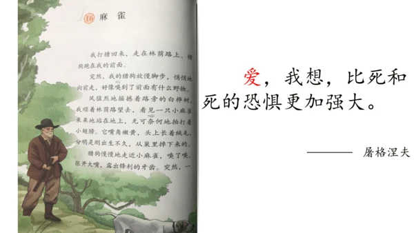 第16课《麻雀》课件