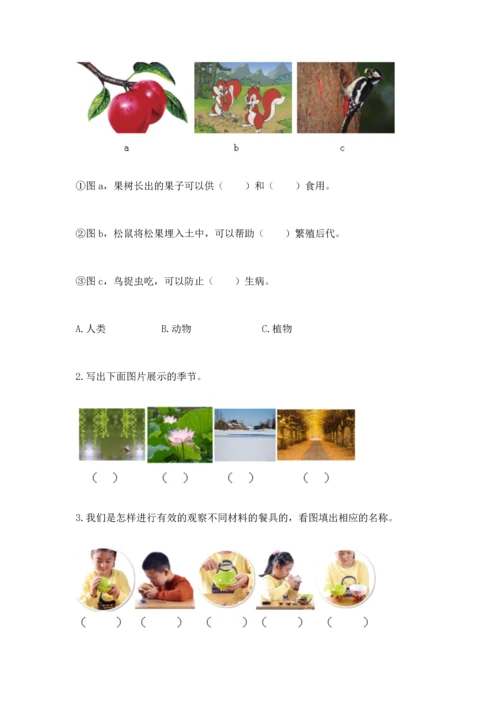 教科版二年级上册科学期末测试卷（黄金题型）.docx