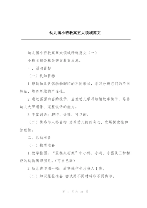 幼儿园小班教案五大领域范文.docx