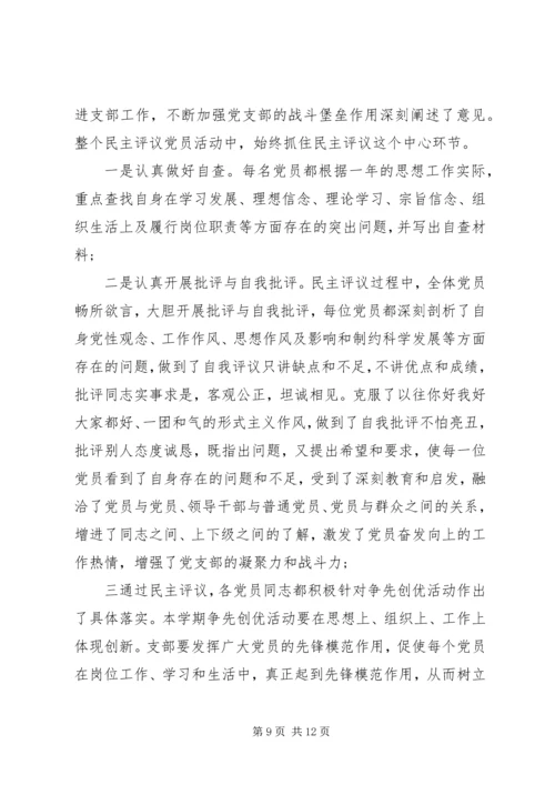 村党支部党员民主评价优选范文.docx