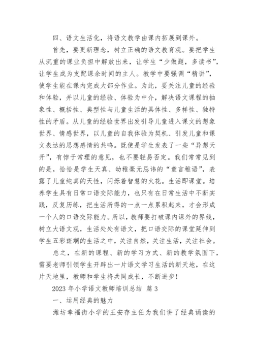 2023年小学语文教师培训总结.docx