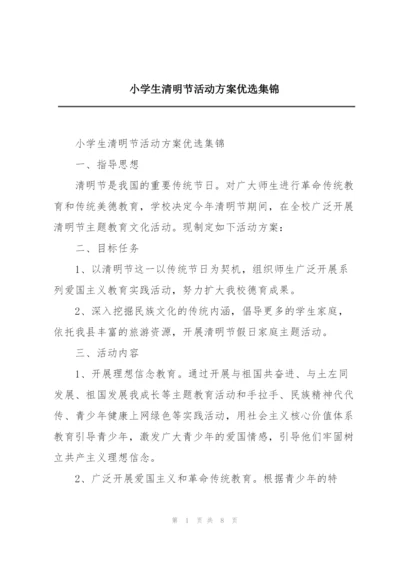 小学生清明节活动方案优选集锦.docx