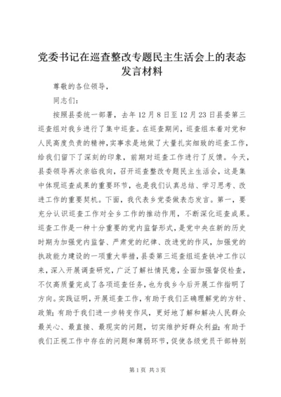 党委书记在巡查整改专题民主生活会上的表态发言材料.docx