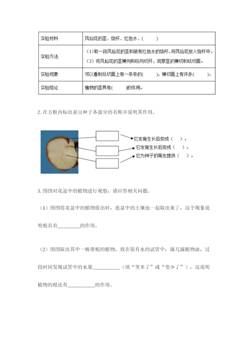 科学四年级下册第一单元植物的生长变化测试卷及答案（真题汇编）.docx