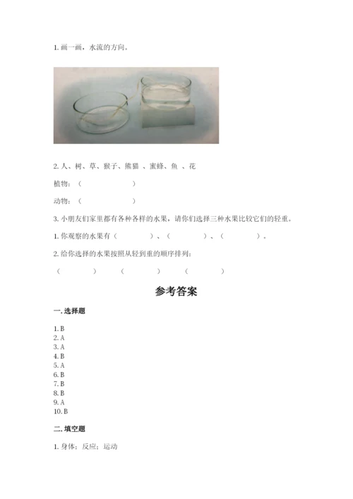 教科版一年级下册科学期末测试卷含完整答案（全优）.docx