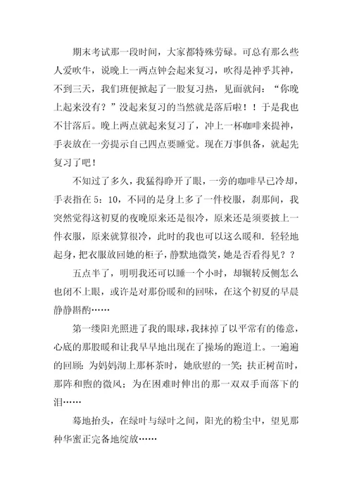 幸福初中作文