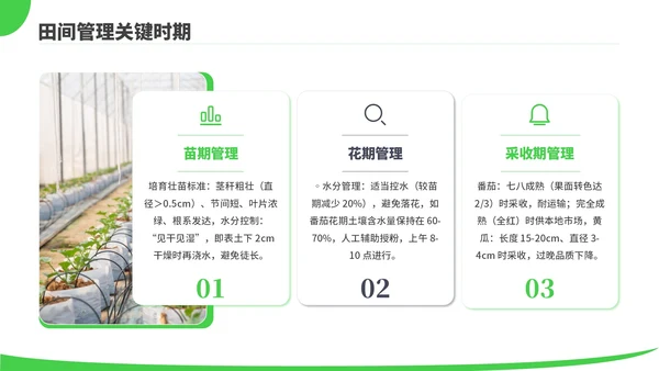 绿色商务风现代农业种植技术PPT模板