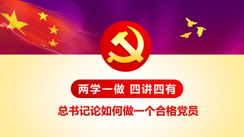 践行四讲四有争做合格党员专题讲座PPT