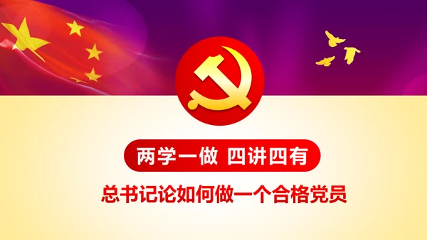 践行四讲四有争做合格党员专题讲座PPT