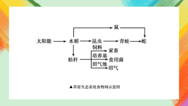 第2课《手绘线条图像——会说话的图画》课件（共26页）