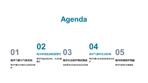 海洋守护者的使命