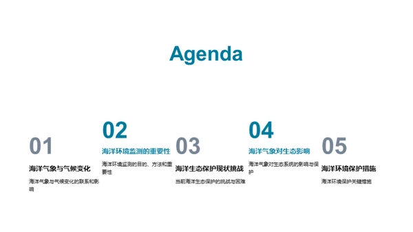 海洋守护者的使命