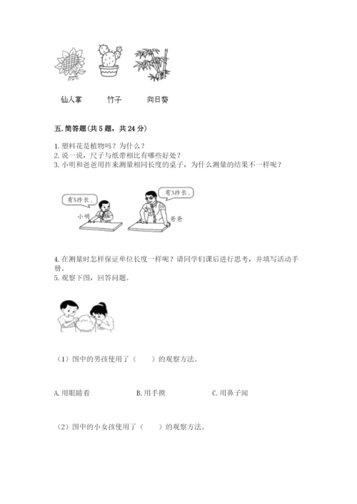 教科版一年级上册科学期末测试卷含精品答案.docx