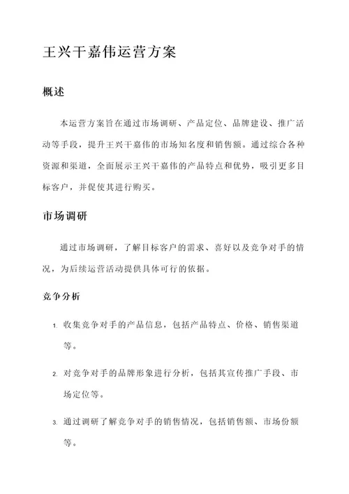 王兴干嘉伟运营方案