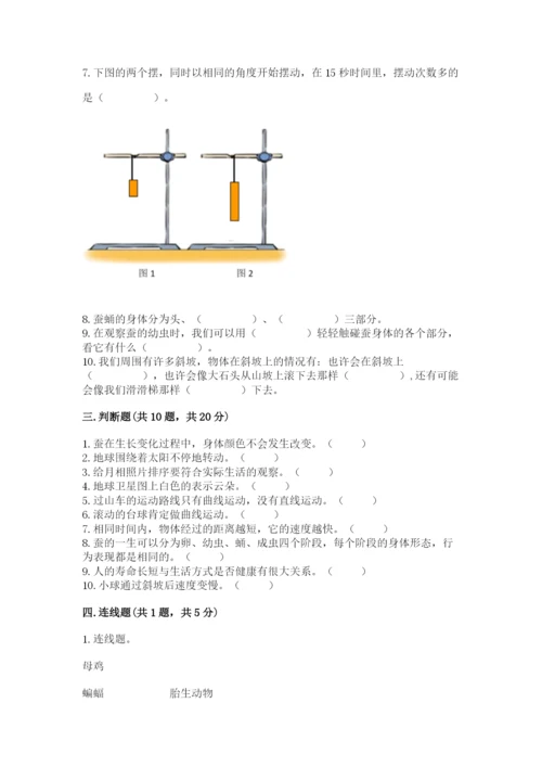 教科版科学三年级下册 期末测试卷及参考答案【基础题】.docx