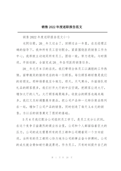 销售2022年度述职报告范文.docx