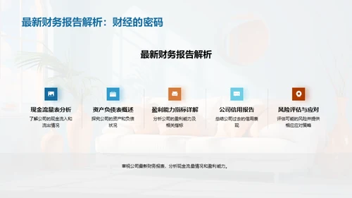 财务透视与发展策略