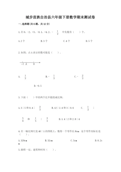 城步苗族自治县六年级下册数学期末测试卷及答案一套.docx