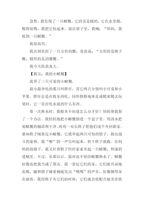 关于螃蟹的作文.docx