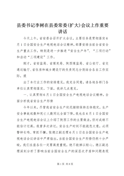 县委书记李树在县委常委(扩大)会议上作重要讲话 (2).docx