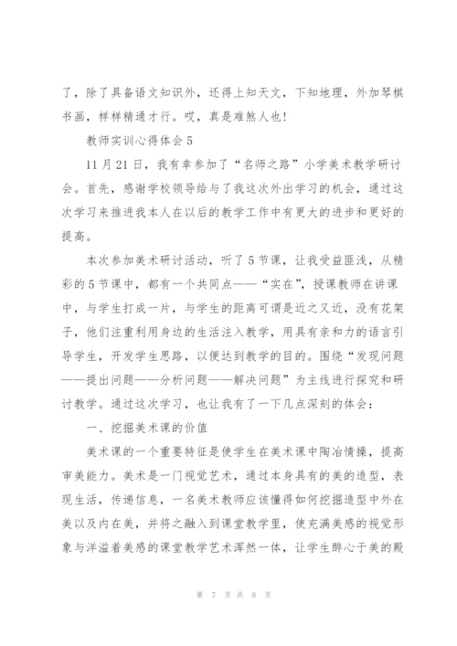 教师实训心得体会5篇.docx