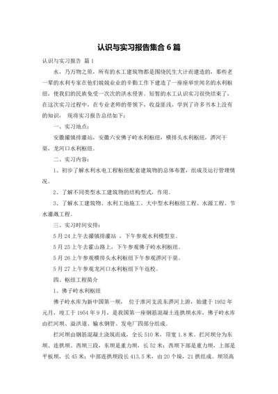 认识与实习报告集合6篇.docx