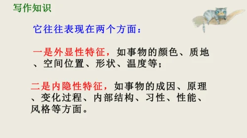 部编版八上语文第五单元写作《说明事物要抓住特征》课件