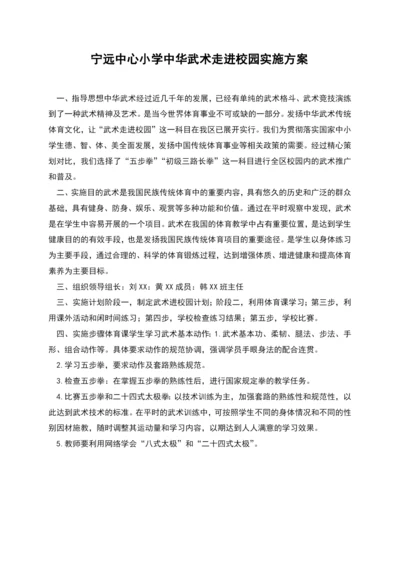 宁远中心小学中华武术走进校园实施方案.docx