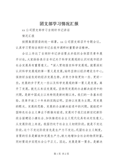 团支部学习情况汇报.docx