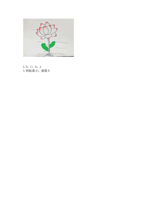 教科版一年级上册科学期末测试卷精品（基础题）.docx