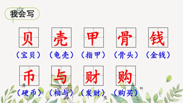 识字3 贝的故事（第一课时）课件