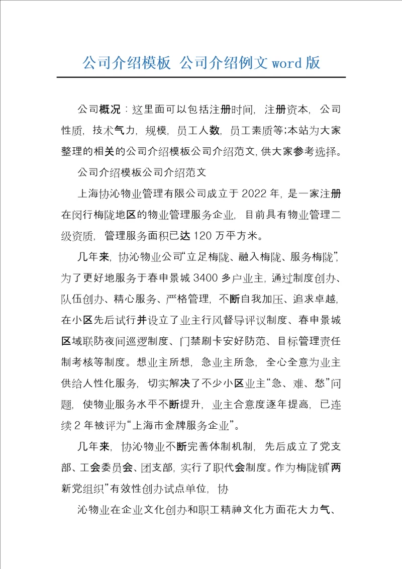 公司介绍模板公司介绍例文word版