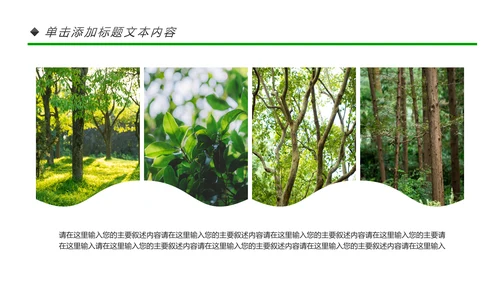 绿色环保森林生态文明建设森林日环保PPT模板