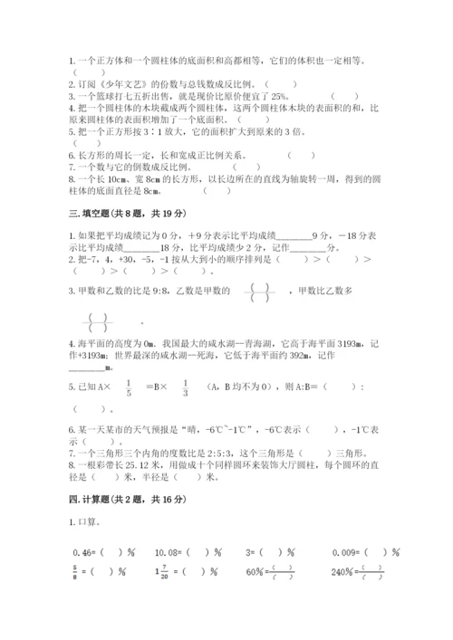 小升初六年级期末测试卷带答案（培优a卷）.docx