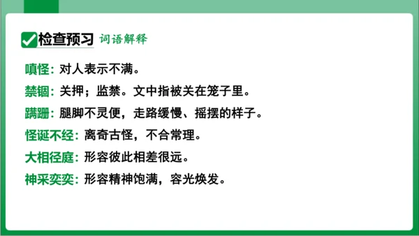 17.动物笑谈（课件）【2023秋人教七上语文高效实用备课】(共33张PPT)
