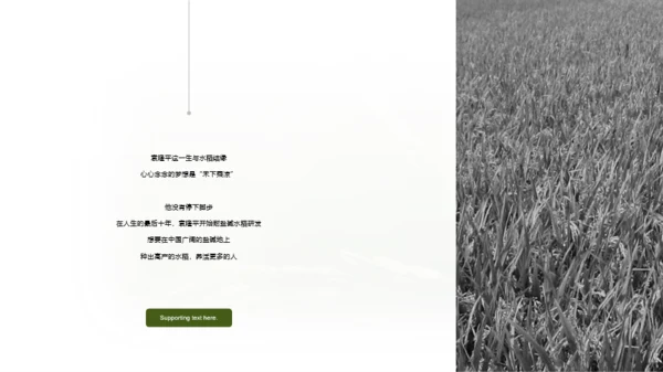 生物专业毕业论文答辩PPT