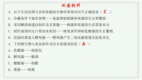 综合实践项目二  利用细菌或真菌制作发酵食品（课件）-【新教材】七年级生物上学期同步课件 （2024
