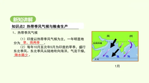 8.3 印度（课件35张）-2024-2025学年七年级地理下学期人教版(2024)