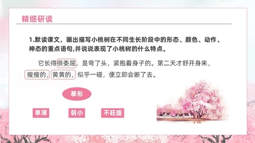 粉色水彩水墨一颗小桃树课件PPT七年级语文下册PPT七年级下册语文课件