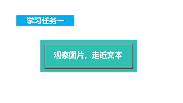 第4课《昆虫备忘录》（教学课件）