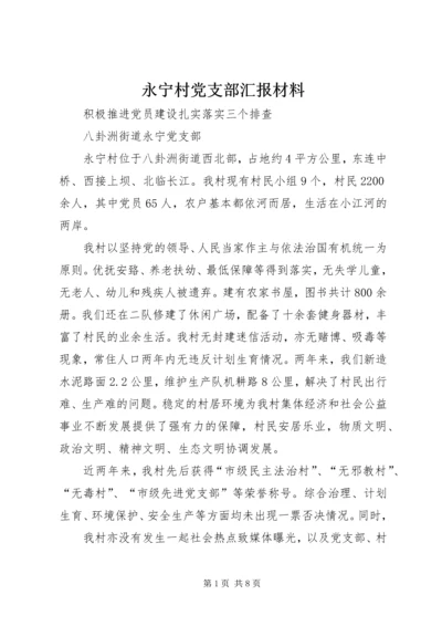 永宁村党支部汇报材料.docx