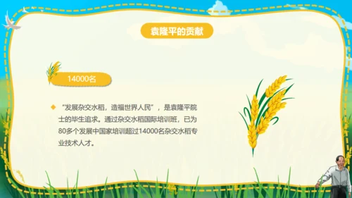 杂交水稻之父袁隆平通用PPT模板
