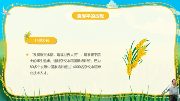 杂交水稻之父袁隆平通用PPT模板