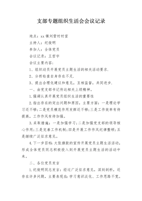 支部专题组织生活会会议记录.docx