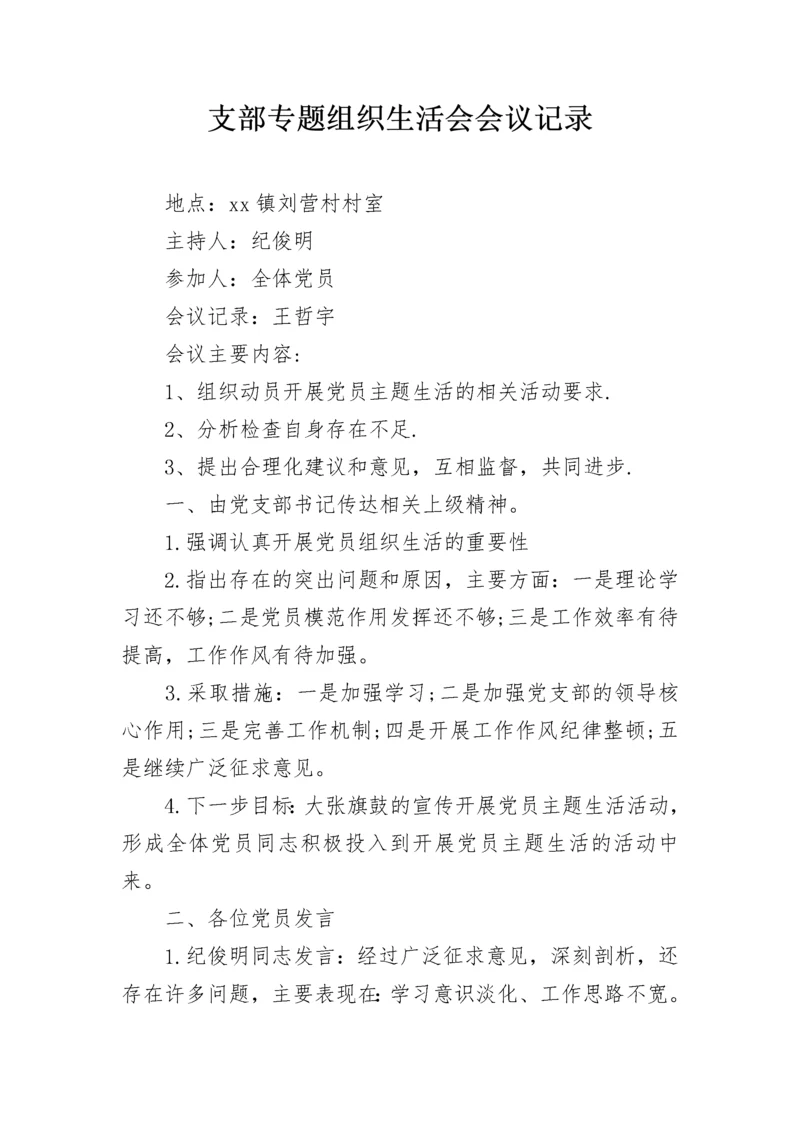 支部专题组织生活会会议记录.docx