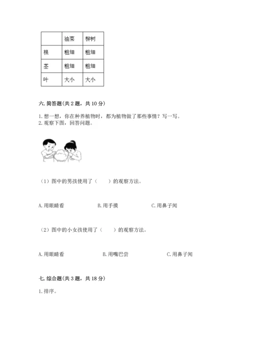 教科版科学一年级上册第一单元《植物》测试卷（能力提升）word版.docx