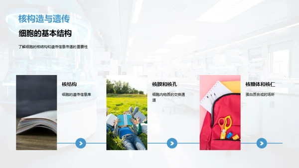 生命之源：细胞揭秘