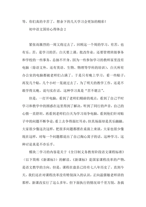 初中语文国培心得体会 (2).docx