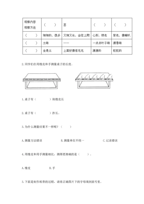 教科版科学一年级上册期末测试卷精品（综合题）.docx